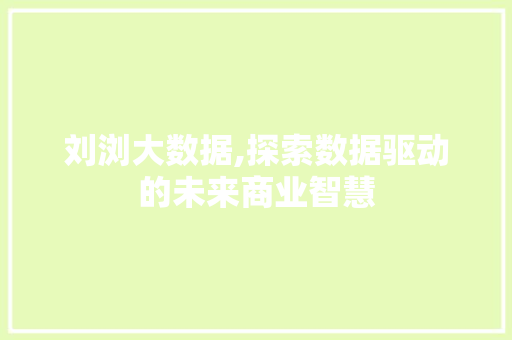 刘浏大数据,探索数据驱动的未来商业智慧