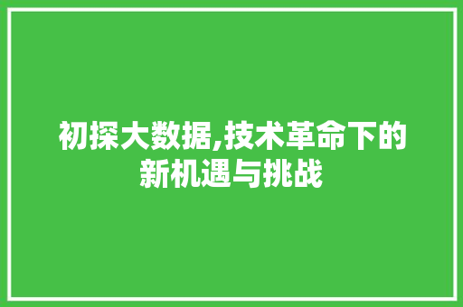 初探大数据,技术革命下的新机遇与挑战 初探大数据,技术革命下的新机遇与挑战