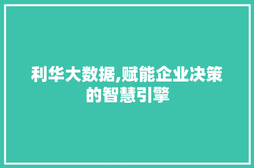 利华大数据,赋能企业决策的智慧引擎