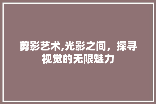 剪影艺术,光影之间，探寻视觉的无限魅力