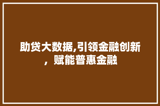 助贷大数据,引领金融创新，赋能普惠金融