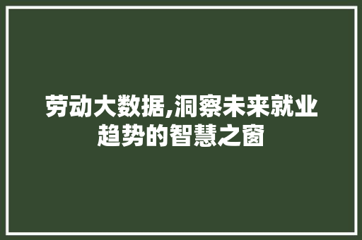 劳动大数据,洞察未来就业趋势的智慧之窗
