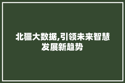 北疆大数据,引领未来智慧发展新趋势