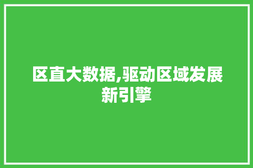 区直大数据,驱动区域发展新引擎