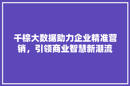 千棕大数据助力企业精准营销，引领商业智慧新潮流