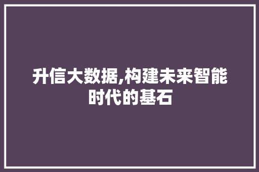 升信大数据,构建未来智能时代的基石