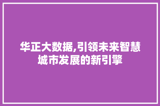 华正大数据,引领未来智慧城市发展的新引擎