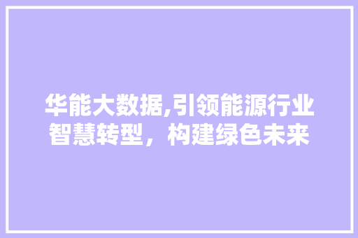 华能大数据,引领能源行业智慧转型，构建绿色未来