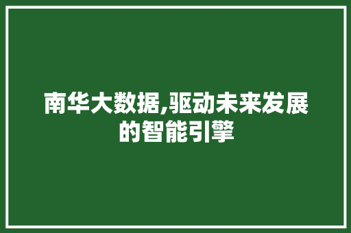 南华大数据,驱动未来发展的智能引擎