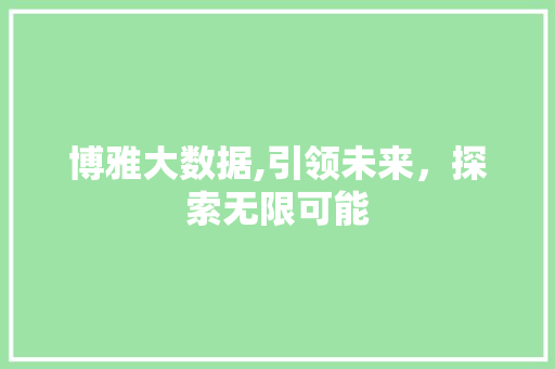 博雅大数据,引领未来，探索无限可能