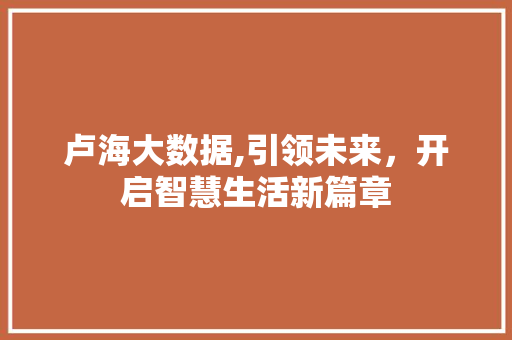 卢海大数据,引领未来,开启智慧生活新篇章 卢海大数据,引领未来,开启智慧生活新篇章