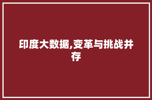 印度大数据,变革与挑战并存 花朵知识