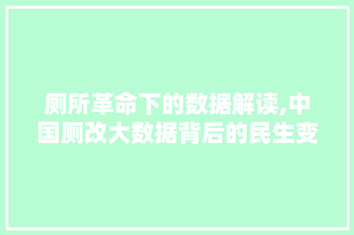 厕所革命下的数据解读,中国厕改大数据背后的民生变迁