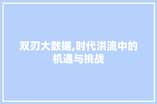 双刃大数据,时代洪流中的机遇与挑战 双刃大数据,时代洪流中的机遇与挑战