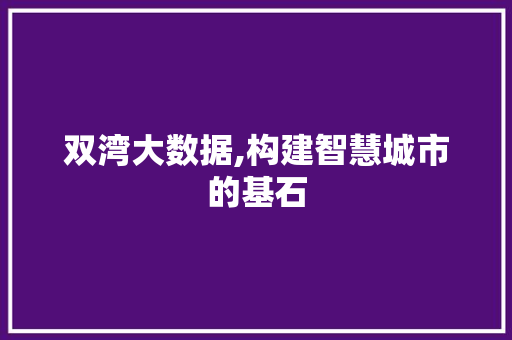 双湾大数据,构建智慧城市的基石