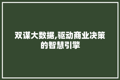 双谋大数据,驱动商业决策的智慧引擎
