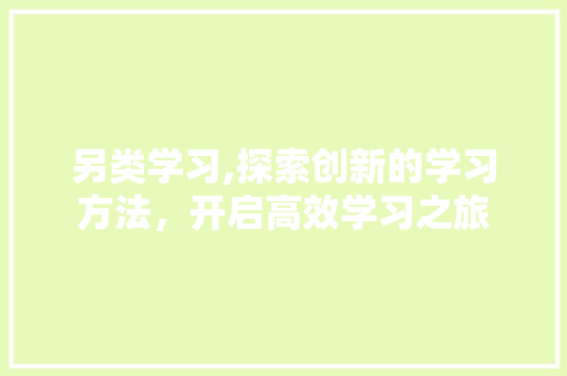 另类学习,探索创新的学习方法，开启高效学习之旅