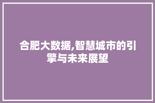 合肥大数据,智慧城市的引擎与未来展望