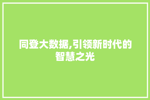 同登大数据,引领新时代的智慧之光