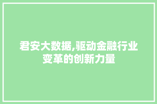 君安大数据,驱动金融行业变革的创新力量