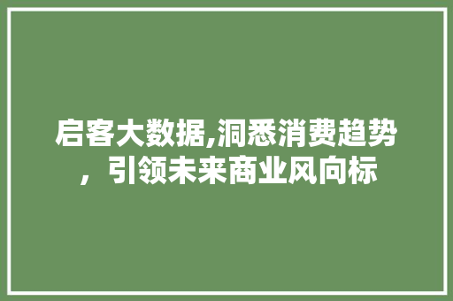 启客大数据,洞悉消费趋势，引领未来商业风向标