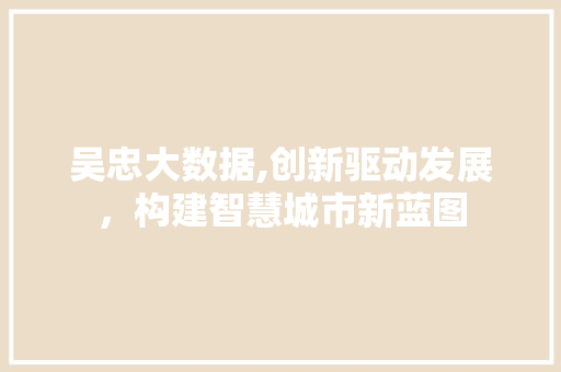吴忠大数据,创新驱动发展，构建智慧城市新蓝图