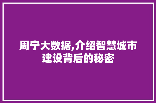 周宁大数据,介绍智慧城市建设背后的秘密