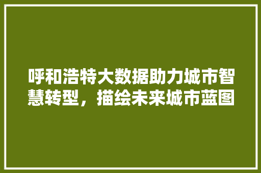 呼和浩特大数据助力城市智慧转型，描绘未来城市蓝图