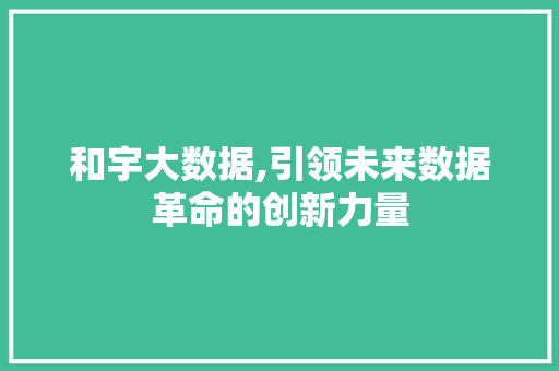 和宇大数据,引领未来数据革命的创新力量