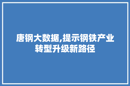 唐钢大数据,提示钢铁产业转型升级新路径