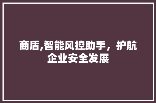商盾,智能风控助手，护航企业安全发展