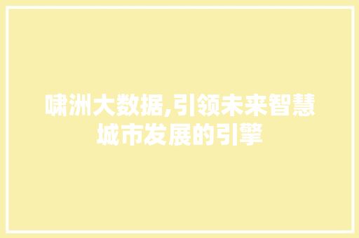 啸洲大数据,引领未来智慧城市发展的引擎