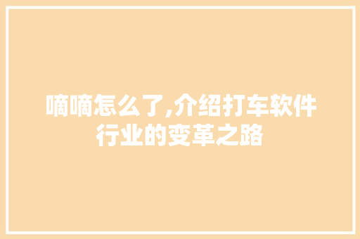 嘀嘀怎么了,介绍打车软件行业的变革之路