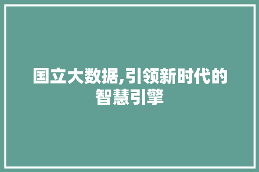 国立大数据,引领新时代的智慧引擎