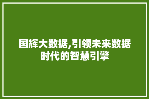 国辉大数据,引领未来数据时代的智慧引擎