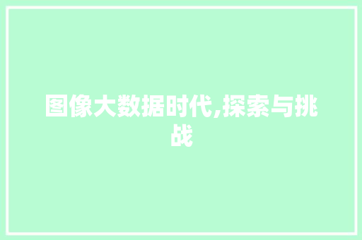 图像大数据时代,探索与挑战