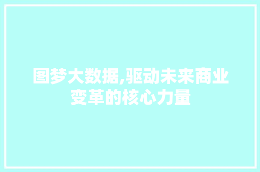 图梦大数据,驱动未来商业变革的核心力量