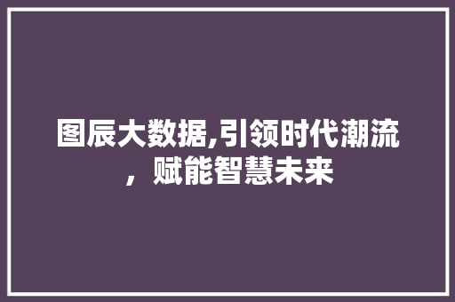 图辰大数据,引领时代潮流，赋能智慧未来