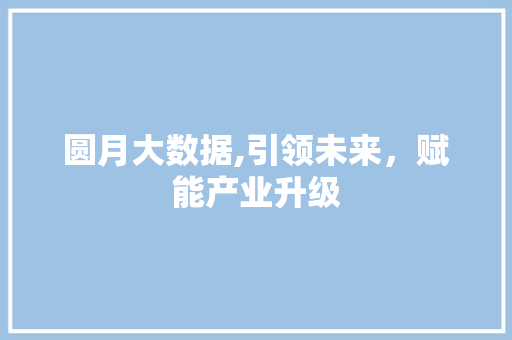 圆月大数据,引领未来，赋能产业升级