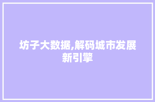 坊子大数据,解码城市发展新引擎