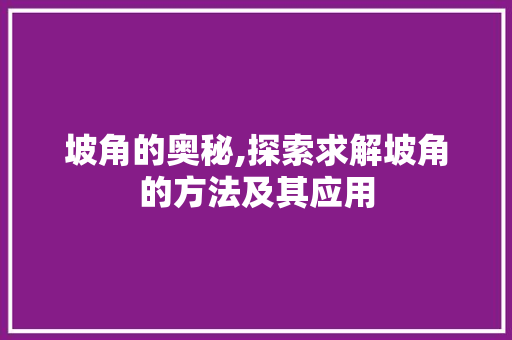 坡角的奥秘,探索求解坡角的方法及其应用