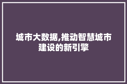 城市大数据,推动智慧城市建设的新引擎