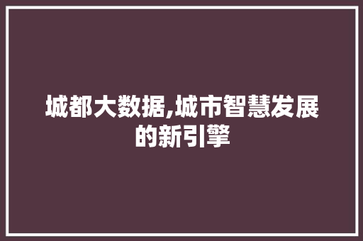城都大数据,城市智慧发展的新引擎