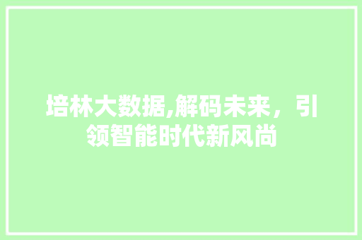 培林大数据,解码未来，引领智能时代新风尚