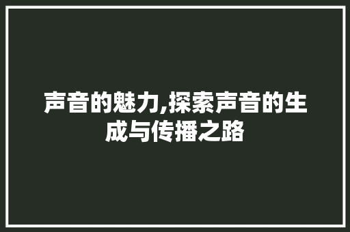 声音的魅力,探索声音的生成与传播之路