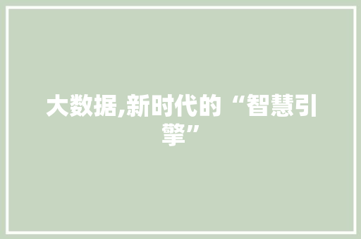 大数据,新时代的“智慧引擎”