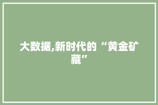 大数据,新时代的“黄金矿藏”