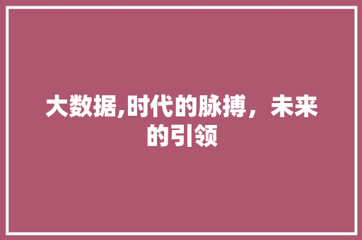 大数据,时代的脉搏，未来的引领