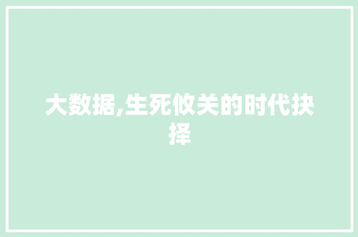 大数据,生死攸关的时代抉择