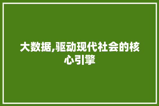 大数据,驱动现代社会的核心引擎